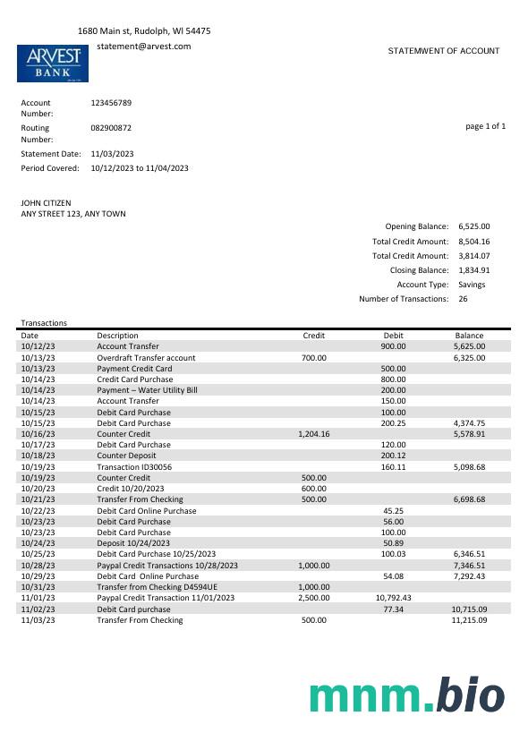 USA American Express National Bank konto statement szablon Worda i PDF